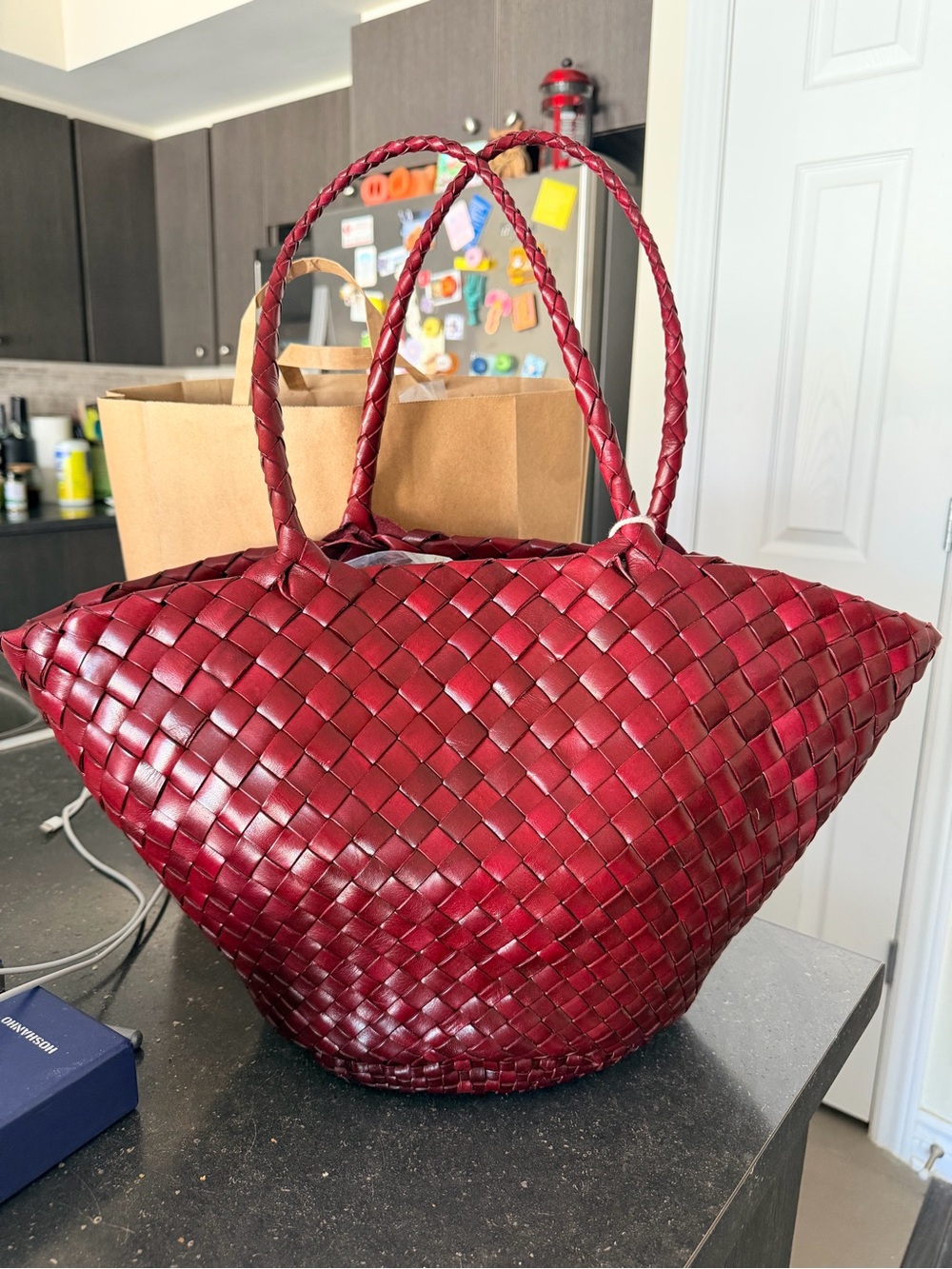 Dragon Diffusion Egola Tote Burgundy NWT
